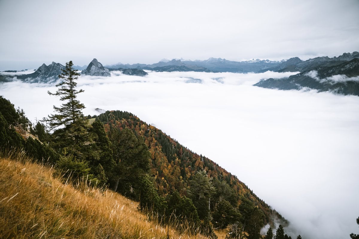Weitsicht von der Rigi Hochflue