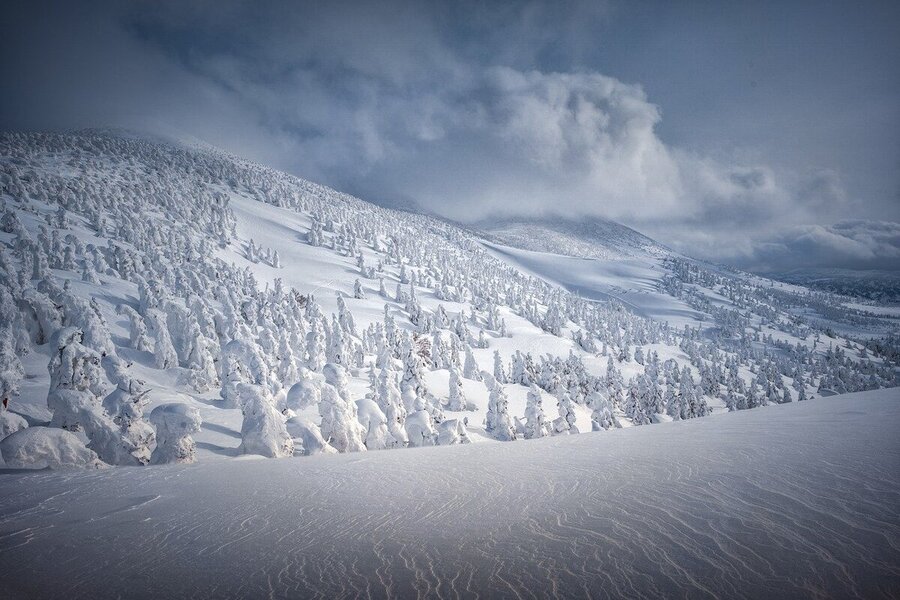 Hokkaido Skitouren und Freeriden