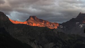 Steghorn im Abendrot