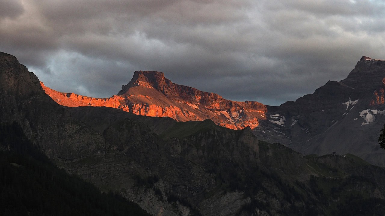 Steghorn im Abendrot