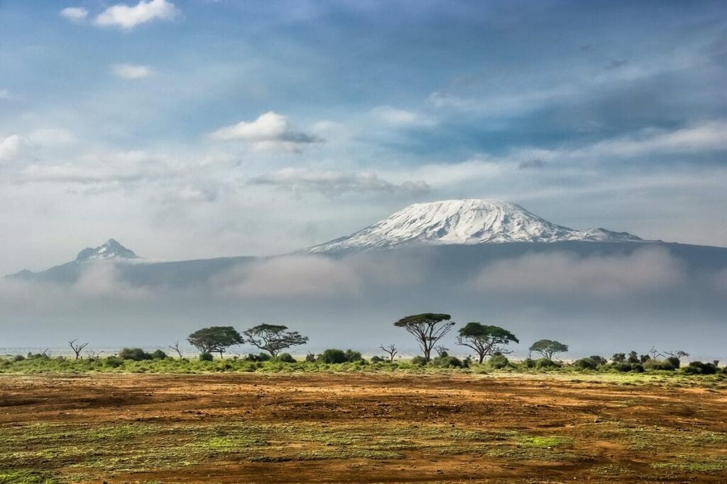 Kilimanjaro und Steppe