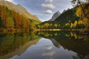 Kesch Trek