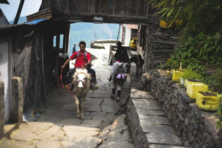 Einheimischer auf einem Pony und Trekkerin mit Rucksack auf dem gepflasterten Dorfweg in Sinuwa, Nepal