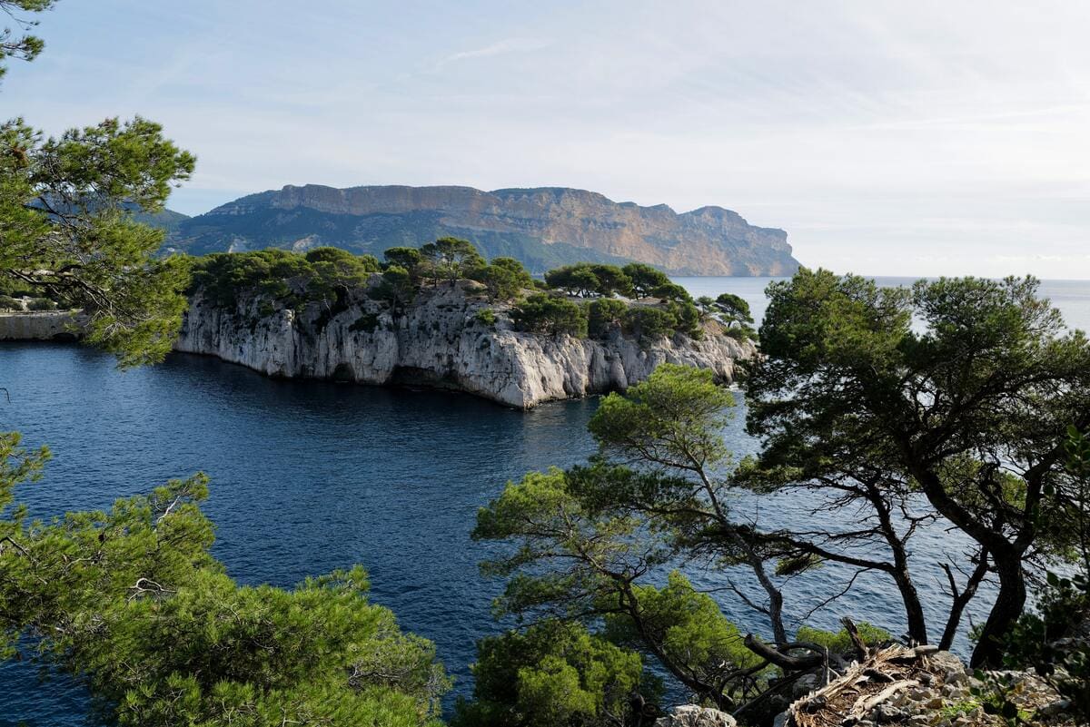 Kalkfelsbucht der Calanques bei Marseille mit Pinien und Meer